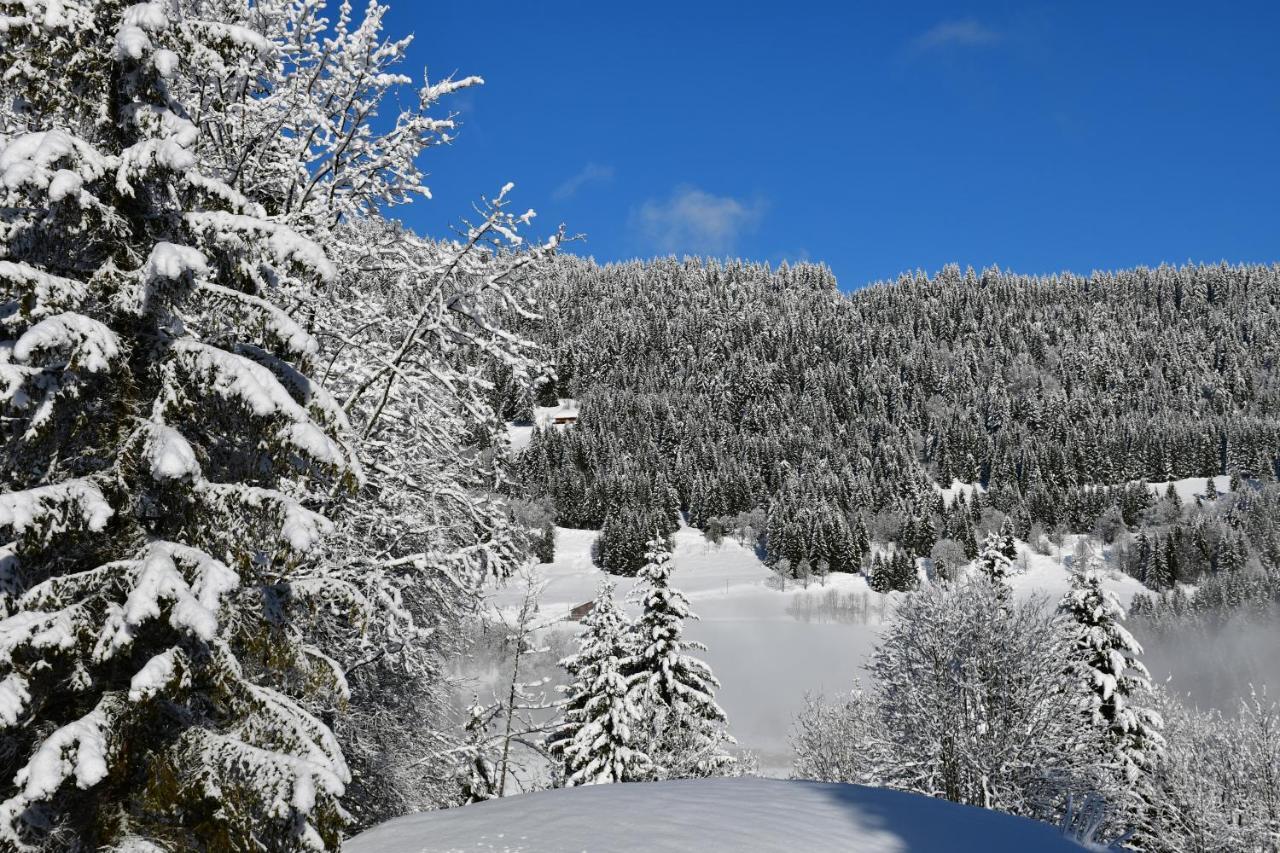 Chalet Orlando Les Gets Kültér fotó